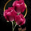 userg88an2j4ph