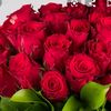 gunayzeyneb1234