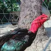 user04462008
