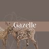 gazalabaya06