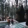 alipsupriyo