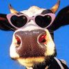 bitchimcow1