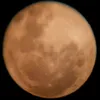 mjaraujoh_1