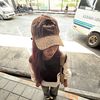nit0795