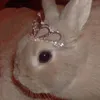 lilisism