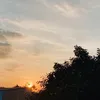 shibachaos