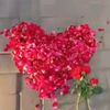 hassanjutt134