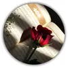 shazhnakam44
