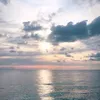 user9vg59rvqia