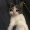 cryingwithstyle