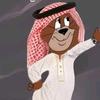 m.al_ali81