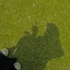 lenoot_