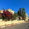 ayah_shatara