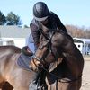 nobleeq
