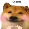 phudzvl