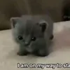 4ymd0k