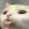 reybiyey