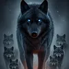 Darkwolf_0459🇫🇷