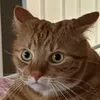 qu3enolive