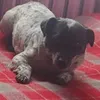 misiu_1_