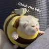 nupakachii7