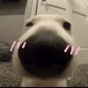 tootof__