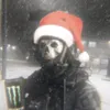 junior_dalziel1