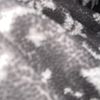 user5xkl28rlql
