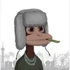 boyderoy