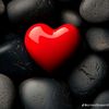 cloe_sevein