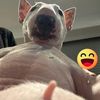 bongbank_