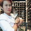 amandahoang29