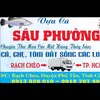 thanhphuongvuaca