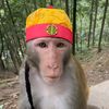 _andylau1