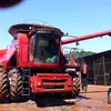 reginaldo_araujo2