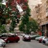 rawda.yasser56