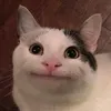 nyan_nyan_land
