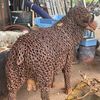 chicken_satay_