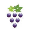 ร้านเสริมสวยเกรพแฮร์ 🍇
