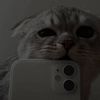 wana_nova