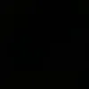 agathinha_wust