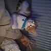 fuckme_andmylife