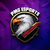 pmg.esportss