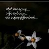 user2185803696203