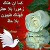 user500770940712