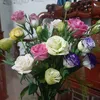 sachhay.16_