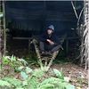 Jungle Creative