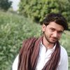 user781045196293138