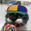joemeowmeowmeow