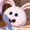 buidieuling_
